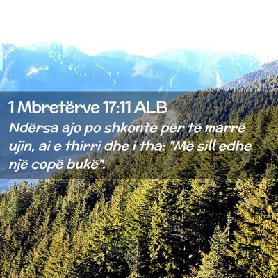 Picture 02 - 1 Mbretërve 17:11 ALB - Ndërsa ajo po shkonte për të marrë ujin, ai e - Bible Verse Picture