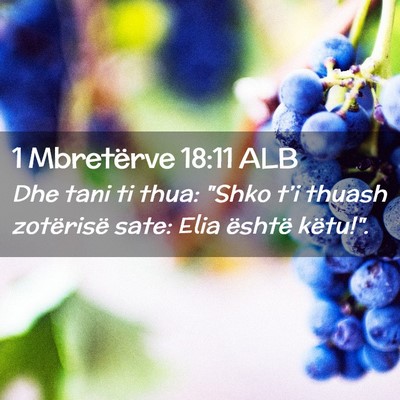 Picture 02 - 1 Mbretërve 18:11 ALB - Dhe tani ti thua: 