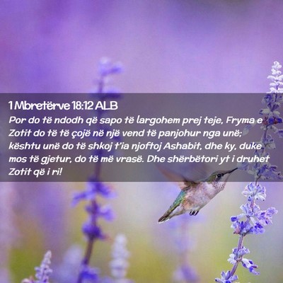 Picture 02 - 1 Mbretërve 18:12 ALB - Por do të ndodh që sapo të largohem prej teje, - Bible Verse Picture