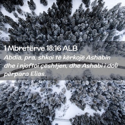 Picture 02 - 1 Mbretërve 18:16 ALB - Abdia, pra, shkoi të kërkojë Ashabin dhe i - Bible Verse Picture