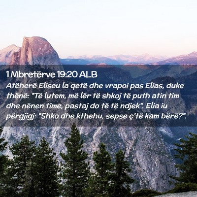 Picture 02 - 1 Mbretërve 19:20 ALB - Atëherë Eliseu la qetë dhe vrapoi pas Elias, - Bible Verse Picture