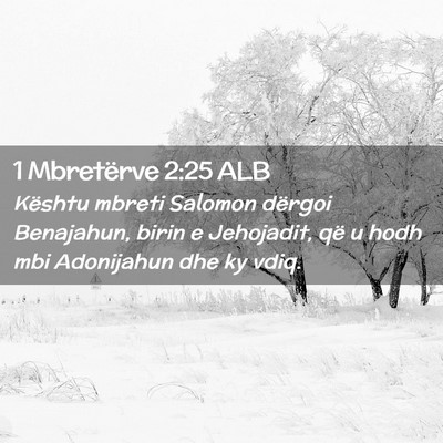 Picture 02 - 1 Mbretërve 2:25 ALB - Kështu mbreti Salomon dërgoi Benajahun, birin e - Bible Verse Picture