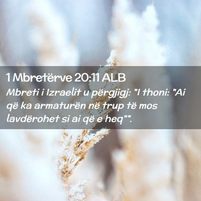 Picture 02 - 1 Mbretërve 20:11 ALB - Mbreti i Izraelit u përgjigj: 