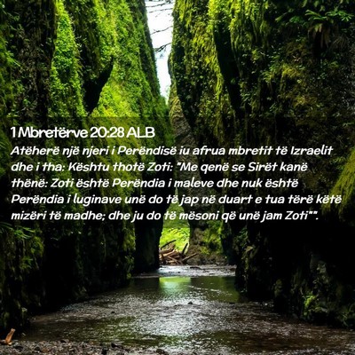 Picture 02 - 1 Mbretërve 20:28 ALB - Atëherë një njeri i Perëndisë iu afrua - Bible Verse Picture