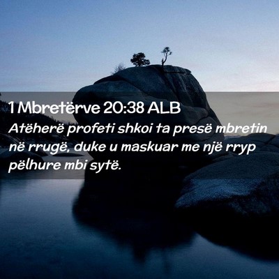 Picture 02 - 1 Mbretërve 20:38 ALB - Atëherë profeti shkoi ta presë mbretin në - Bible Verse Picture