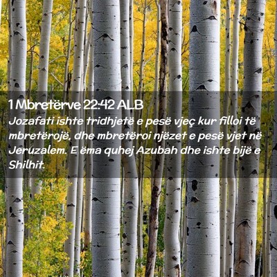 Picture 02 - 1 Mbretërve 22:42 ALB - Jozafati ishte tridhjetë e pesë vjeç kur - Bible Verse Picture
