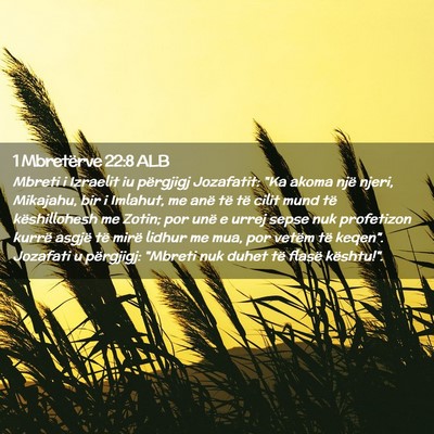 Picture 02 - 1 Mbretërve 22:8 ALB - Mbreti i Izraelit iu përgjigj Jozafatit: 