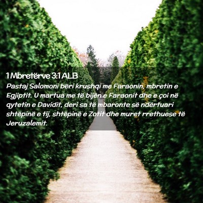 Picture 02 - 1 Mbretërve 3:1 ALB - Pastaj Salomoni bëri krushqi me Faraonin, - Bible Verse Picture