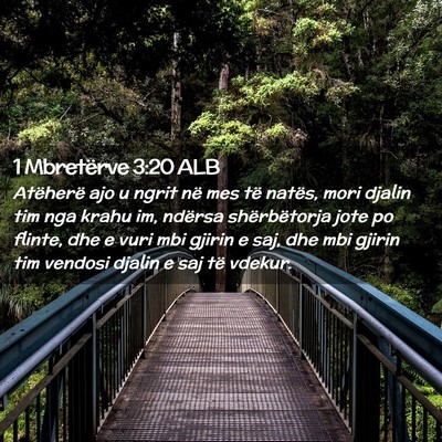 Picture 02 - 1 Mbretërve 3:20 ALB - Atëherë ajo u ngrit në mes të natës, mori - Bible Verse Picture
