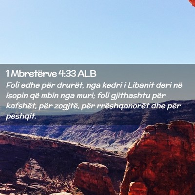 Picture 02 - 1 Mbretërve 4:33 ALB - Foli edhe për drurët, nga kedri i Libanit deri - Bible Verse Picture