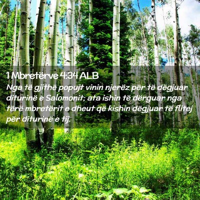 Picture 02 - 1 Mbretërve 4:34 ALB - Nga të gjithë popujt vinin njerëz për të - Bible Verse Picture