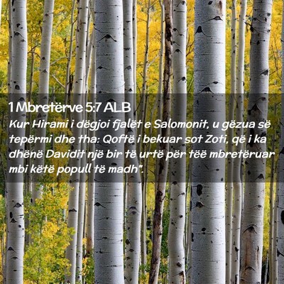Picture 02 - 1 Mbretërve 5:7 ALB - Kur Hirami i dëgjoi fjalët e Salomonit, u - Bible Verse Picture