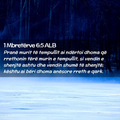 Picture 02 - 1 Mbretërve 6:5 ALB - Pranë murit të tempullit ai ndërtoi dhoma që - Bible Verse Picture