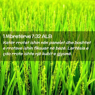 Picture 02 - 1 Mbretërve 7:32 ALB - Katër rrotat ishin nën panelet dhe boshtet e - Bible Verse Picture