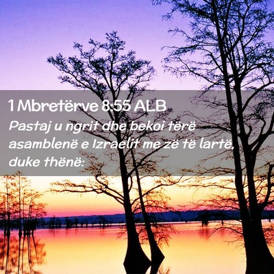 Picture 02 - 1 Mbretërve 8:55 ALB - Pastaj u ngrit dhe bekoi tërë asamblenë e - Bible Verse Picture