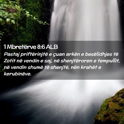 Picture 02 - 1 Mbretërve 8:6 ALB - Pastaj priftërinjtë e çuan arkën e - Bible Verse Picture