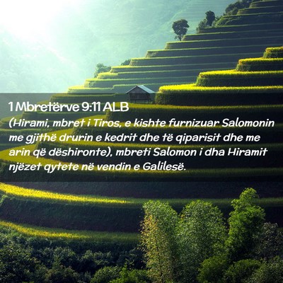 Picture 02 - 1 Mbretërve 9:11 ALB - (Hirami, mbret i Tiros, e kishte furnizuar - Bible Verse Picture