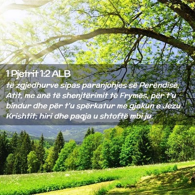 Picture 02 - 1 Pjetrit 1:2 ALB - të zgjedhurve sipas paranjohjes së Perëndisë, - Bible Verse Picture