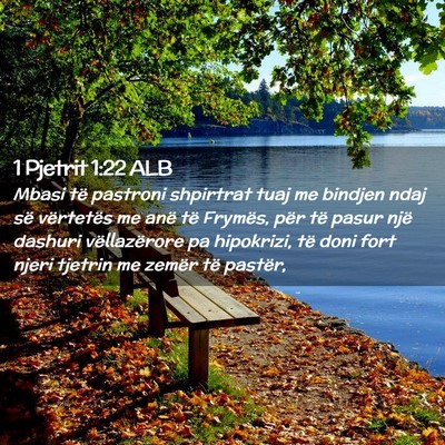Picture 02 - 1 Pjetrit 1:22 ALB - Mbasi të pastroni shpirtrat tuaj me bindjen ndaj - Bible Verse Picture