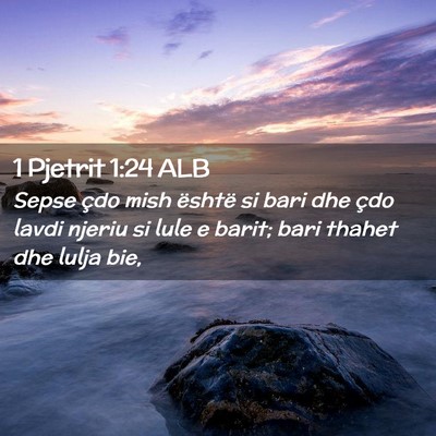 Picture 02 - 1 Pjetrit 1:24 ALB - Sepse çdo mish është si bari dhe çdo lavdi - Bible Verse Picture
