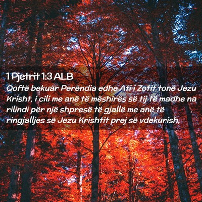 Picture 02 - 1 Pjetrit 1:3 ALB - Qoftë bekuar Perëndia edhe Ati i Zotit tonë - Bible Verse Picture