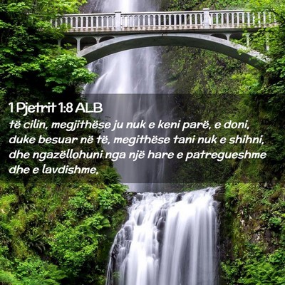 Picture 02 - 1 Pjetrit 1:8 ALB - të cilin, megjithëse ju nuk e keni parë, e - Bible Verse Picture