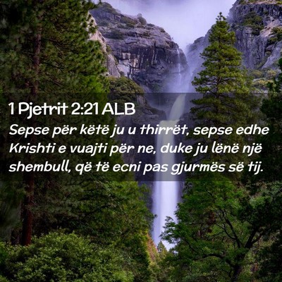 Picture 02 - 1 Pjetrit 2:21 ALB - Sepse për këtë ju u thirrët, sepse edhe - Bible Verse Picture