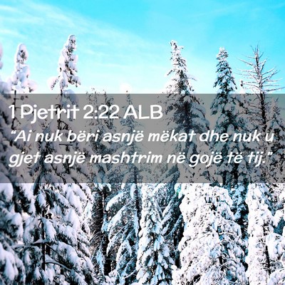 Picture 02 - 1 Pjetrit 2:22 ALB - “Ai nuk bëri asnjë mëkat dhe nuk u gjet - Bible Verse Picture