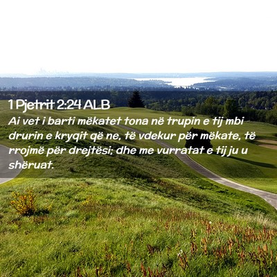 Picture 02 - 1 Pjetrit 2:24 ALB - Ai vet i barti mëkatet tona në trupin e tij mbi - Bible Verse Picture