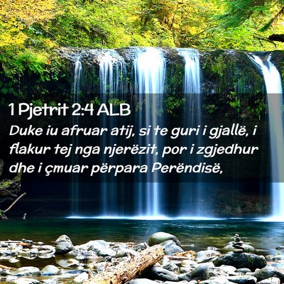 Picture 02 - 1 Pjetrit 2:4 ALB - Duke iu afruar atij, si te guri i gjallë, i - Bible Verse Picture