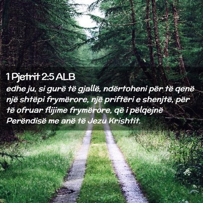 Picture 02 - 1 Pjetrit 2:5 ALB - edhe ju, si gurë të gjallë, ndërtoheni për - Bible Verse Picture