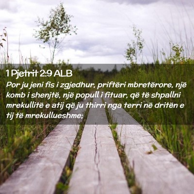 Picture 02 - 1 Pjetrit 2:9 ALB - Por ju jeni fis i zgjedhur, priftëri - Bible Verse Picture