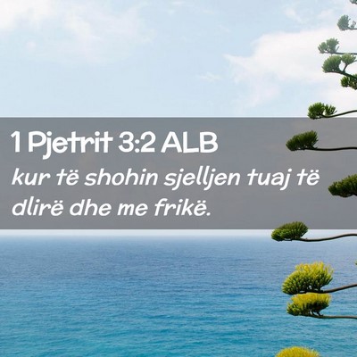 Picture 02 - 1 Pjetrit 3:2 ALB - kur të shohin sjelljen tuaj të dlirë dhe me - Bible Verse Picture