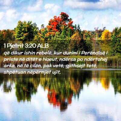 Picture 02 - 1 Pjetrit 3:20 ALB - që dikur ishin rebelë, kur durimi i Perëndisë - Bible Verse Picture