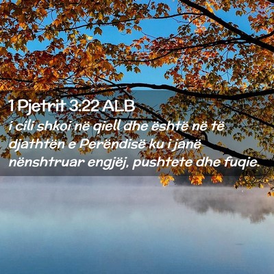 Picture 02 - 1 Pjetrit 3:22 ALB - i cili shkoi në qiell dhe është në të - Bible Verse Picture