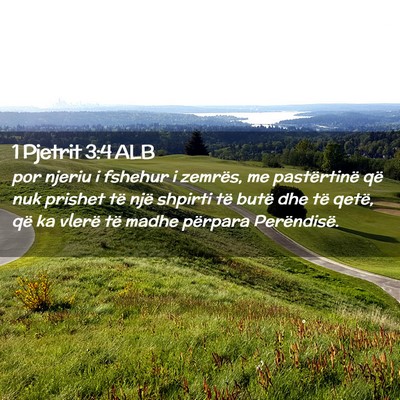 Picture 02 - 1 Pjetrit 3:4 ALB - por njeriu i fshehur i zemrës, me pastërtinë - Bible Verse Picture