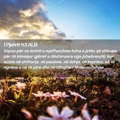 Picture 02 - 1 Pjetrit 4:3 ALB - Sepse për ne është e mjaftueshme koha e jetës - Bible Verse Picture