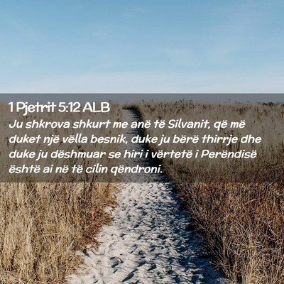 Picture 02 - 1 Pjetrit 5:12 ALB - Ju shkrova shkurt me anë të Silvanit, që më - Bible Verse Picture