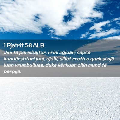 Picture 02 - 1 Pjetrit 5:8 ALB - Jini të përmbajtur, rrini zgjuar; sepse - Bible Verse Picture