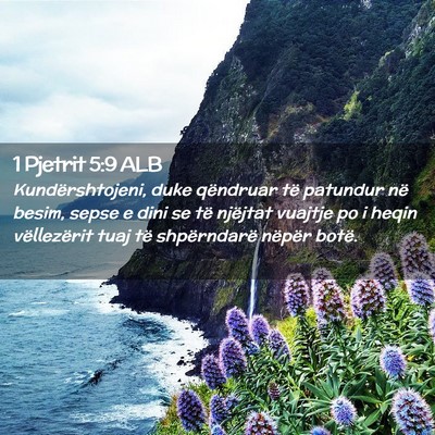 Picture 02 - 1 Pjetrit 5:9 ALB - Kundërshtojeni, duke qëndruar të patundur në - Bible Verse Picture