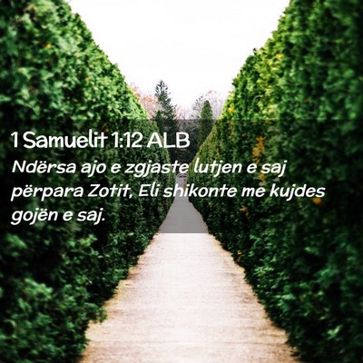 Picture 02 - 1 Samuelit 1:12 ALB - Ndërsa ajo e zgjaste lutjen e saj përpara - Bible Verse Picture