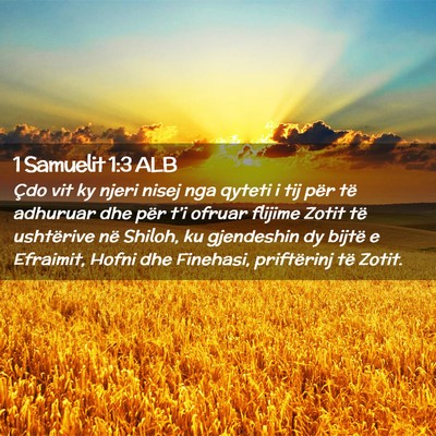 Picture 02 - 1 Samuelit 1:3 ALB - Çdo vit ky njeri nisej nga qyteti i tij për të - Bible Verse Picture
