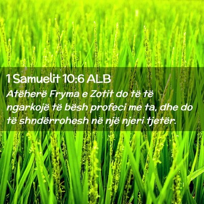 Picture 02 - 1 Samuelit 10:6 ALB - Atëherë Fryma e Zotit do të të ngarkojë të - Bible Verse Picture