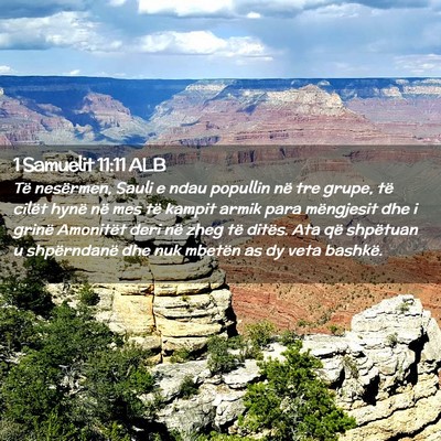 Picture 02 - 1 Samuelit 11:11 ALB - Të nesërmen, Sauli e ndau popullin në tre - Bible Verse Picture