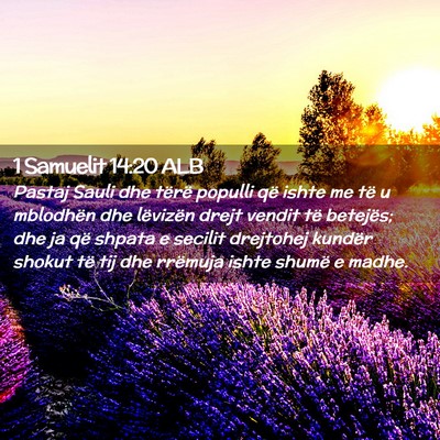Picture 02 - 1 Samuelit 14:20 ALB - Pastaj Sauli dhe tërë populli që ishte me të - Bible Verse Picture