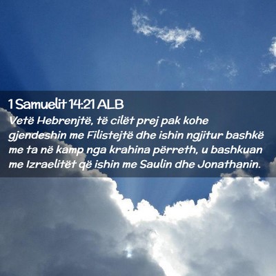 Picture 02 - 1 Samuelit 14:21 ALB - Vetë Hebrenjtë, të cilët prej pak kohe - Bible Verse Picture