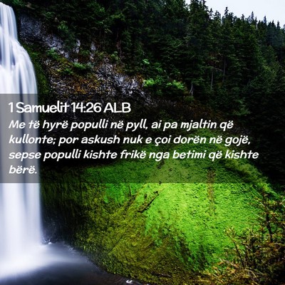 Picture 02 - 1 Samuelit 14:26 ALB - Me të hyrë populli në pyll, ai pa mjaltin që - Bible Verse Picture