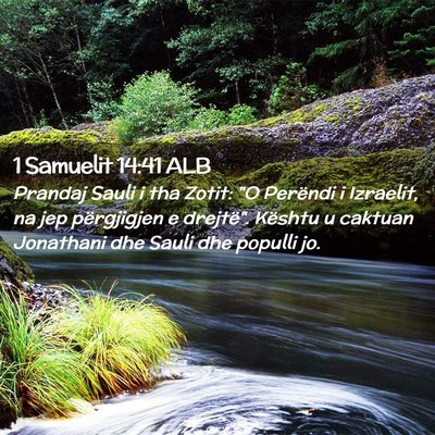 Picture 02 - 1 Samuelit 14:41 ALB - Prandaj Sauli i tha Zotit: 