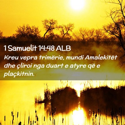Picture 02 - 1 Samuelit 14:48 ALB - Kreu vepra trimërie, mundi Amalekitët dhe - Bible Verse Picture
