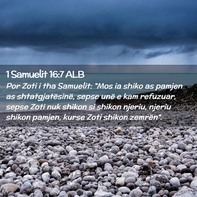 Picture 02 - 1 Samuelit 16:7 ALB - Por Zoti i tha Samuelit: 